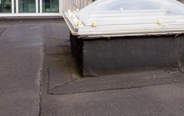 disadvantages of Haswell Plough flat roofs