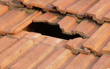 roof repair Haswell Plough, County Durham