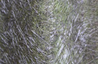 Haswell Plough fibreglass roof work